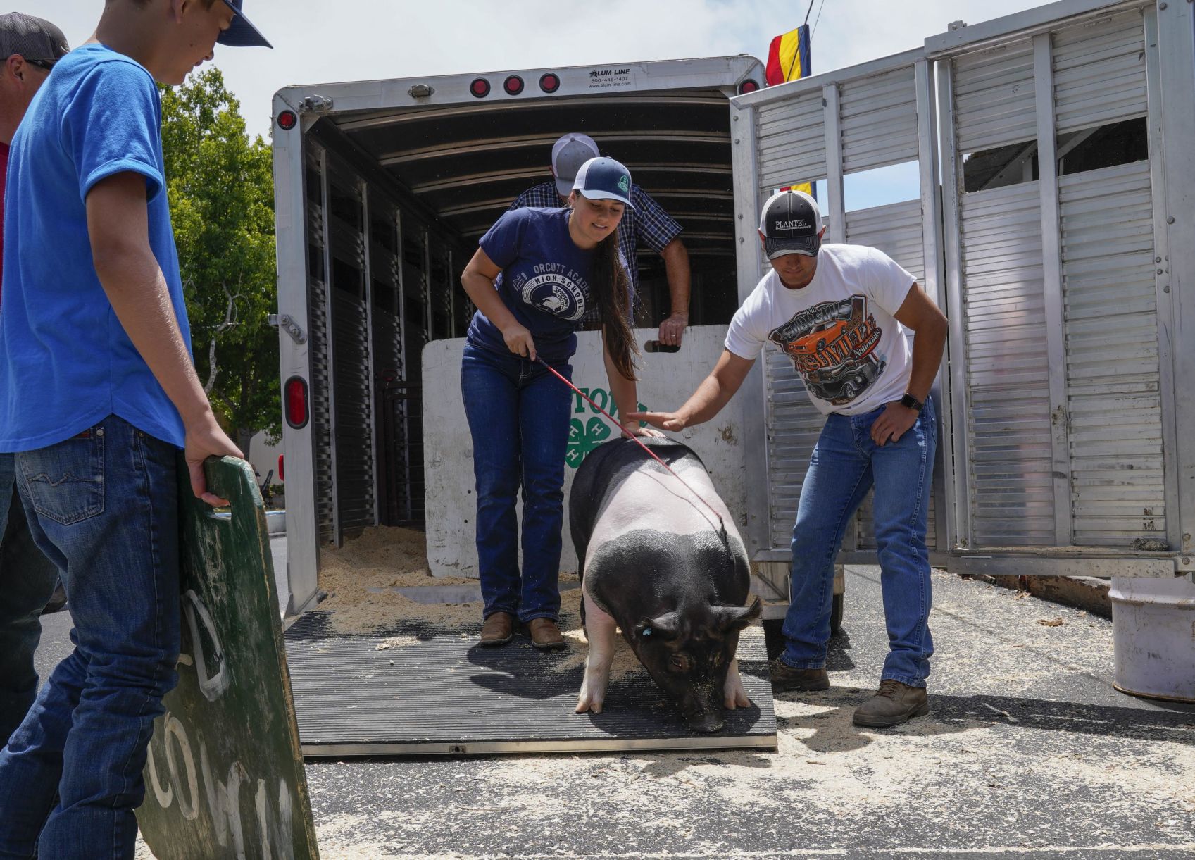 070719 Animals Arrive for Fair 17.jpg